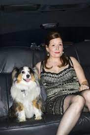 Miniature Vs Toy Vs Standard Aussie Dog Breed