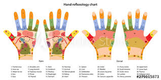 Hand Reflexology Chart With Description Of The Corresponding