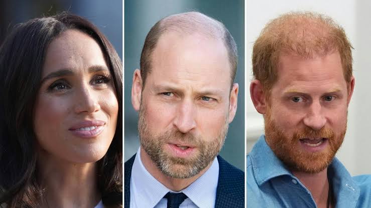 Prince William's brutal verdict on Prince Harry and Meghan Markle marriage