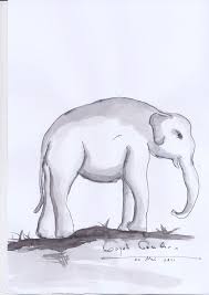 Contoh sketsa gambar gajah sobsketsa via sobsketsa.blogspot.com. Indonesia S Sketchers Jogja Gajah Gembira Iman Sutejo 22 Mei 2011 Kebun