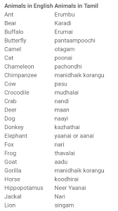 Google's free service instantly translates words, phrases, and web pages between english and over 100 other languages. Spoken English Images Think Positive Sharechat à®‡à®¨ à®¤ à®¯ à®µ à®© à®š à®¨ à®¤ à®‡à®¨ à®¤ à®¯ à®šà®® à®• à®µà®² à®¤ à®¤à®³à®®