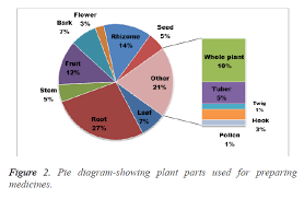 An Ethnobotanical Survey Of Medicinal Plants Used For The