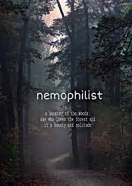 Traditionallamp instagram posts gramho com : Nemophilist Meaning