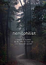 She goes to the forest everyday, because she loves it. Nemophilist Meaning