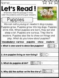 Reading Comprehension And Text Evidence For Beginners Animals Reading Comprehension Reading Comprehension Texts Text Evidence