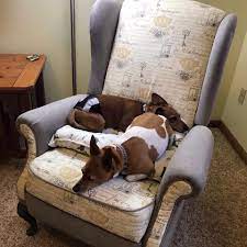 Wausau (wi) has many attractions to explore with its fascinating past, intriguing present and exciting future. Stuff It Upholstery Home Facebook