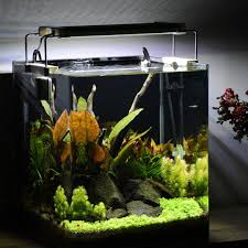Nature Cube Tank Setup Layout Tank Design Layout Inspiration Design Inspiration