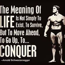 Arnold Schwarzenegger wise quote | Inspirational Quotes ... via Relatably.com
