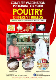 Vaccination Program The Complete Guide For Different Breeds Of Poultry E Book