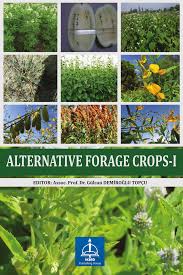 Image result for Amaranthus praetermissus