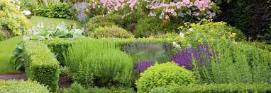 I have seen many traditional knot gardens in my travels, and the whole process of. Knot Garden Design And Landscapes With Hedges Instanthedge