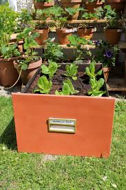 Fill the planter with soil jessica walliser. See How I Upcycled This Filing Cabinet Dainty Dress Diaries
