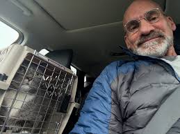 It was time to visit the vet today for the kitties. Thank goodness for  gabapentin! #catnap #felinehealth #butidontwanttogotothevet  #chubbykittyneedstodiet