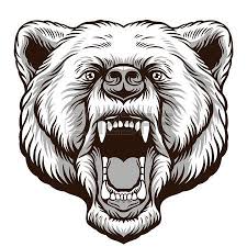 Pin By Sincebackinthedase On Dasedesignsesportslogocourse Bear Face Drawing Bear Tattoo Designs Angry Bear