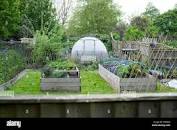 Image result for polytunnel and vegetable patch images