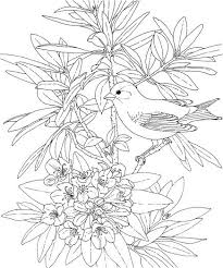 Goldfinch 6 Bird Coloring Pages Cool Coloring Pages Flower Coloring Pages