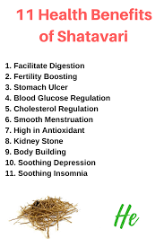 11 Health Benefits And Side Effects Of Shatavari Health Fertility Boost Health Benefits
