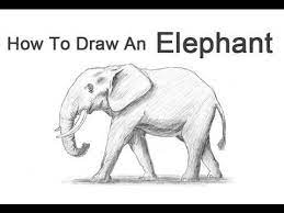 This is great news for parents and teachers who want to help kids kids love doing things on the computer and watching videos. How To Draw An Elephant Elephant Drawing Elephant Sketch Animal Drawings