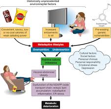 If you want to convert grams to calories, remember that there are 9 calories in a gram of fat, and 4 calories in a gram of carbohydrates or protein. Imbalanced Insulin Action In Chronic Over Nutrition Clinical Harm Molecular Mechanisms And A Way Forward Atherosclerosis