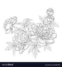 Spring Flowers Bouquet Of Contour Style Flower Vector Image On Vectorstock Flower Line Drawings Flower Drawing Peony Drawing