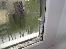 If you suffer from allergies or asthma, breathing in mold can aggravate your sickness. Mould On Bedroom Window Picture Of Pontins Brean Sands Holiday Park Burnham On Sea Tripadvisor