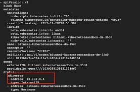 Find The External Ip Address Of A Node