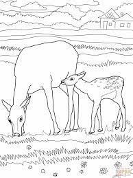 These coloring pages feature 15 adorable baby animals. Letter E Elk Mommy And Baby Animal Coloring Page Horse Coloring Pages Coloring Pages Animal Coloring Pages