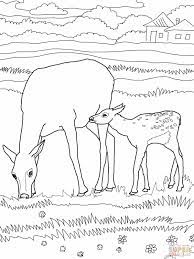 Of baby animals coloring pages are a fun way for kids of all ages to develop creativity, focus, motor skills and color recognition. Mommy And Baby Animal Coloring Pages Super Kins Author