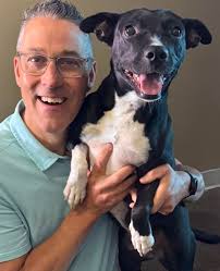 Roselle is as nice as she is cute. (Just no small dogs) Meet her at noon  today at the SPCA Cincinnati 11900 Conrey Rd, Cincinnati. Ready, Pet, Go  sponsored by Ray St.