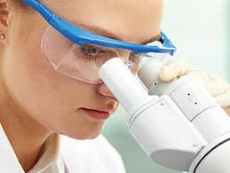 Microbiology and Physicochemistry for food and wine processes: MP²