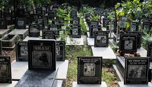 The cemetery has been here since 1948. Where To Bury Dead Pets Or Animals In Bengaluru Citizen Matters Bengaluru