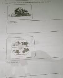 Maybe you would like to learn more about one of these? Perintah Coba Buat Lah Iklan Makanan Sehat Berdasarkan Contoh Gambar Di Bawah Ini Gambar Pertama Brainly Co Id