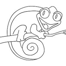 These coloring pages feature a realistic line drawing of the panther chameleon. Chameleon Coloring Pages Free Printables Momjunction