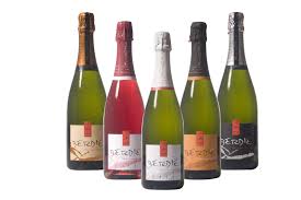 Berdie Cava Is The Best Sparkling Wine Brands Wine Brands Sparkling Wine