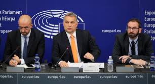Tõsgyökeres soproni családból származik, szülei elsõ generációs értelmiségiek. Szajer Sex Party Coverage Shows Orban S Media Control