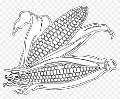 In the fall of 1855, he sold just two ears of seed corn to a close friend for four dollars, on the agreement that the seed was for personal use only. Corn Drawing Image At Getdrawings Com Free For Personal Free Printable Corn Coloring Pages Free Transparent Png Clipart Images Download
