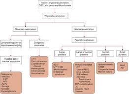 Image result for Platelet Dysfunction