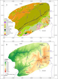 Image result for Helinus spartioides