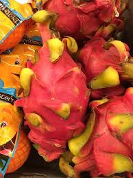 Image result for Avocado Light 1972 Montgomery Ward