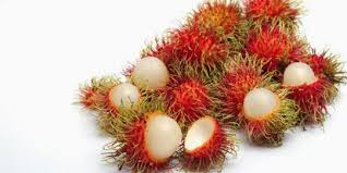 Manfaat Buah Buahan Manfaat Buah Rambutan