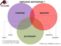 Autonomy Mastery Purpose Motivating Coworkers How To Motivate Employees Motivation Mastery