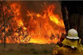 Sumber ekosistem yang ada telah digunakan ke paras maksimum dengan penangkapan ikan berlebihan dan pemupusan kawasan besar hutan. Fixed Kebakaran Hutan Di Australia Akibat Perubahan Iklim Kabar24 Bisnis Com