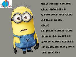 The Grass Is Always Greener On The Other Side Cartoon Minion Minionquote Minionmadness You May Think The Grass Is Greener On The Other Side But If You Take The Funny Minion Quotes Minions Quotes Minion Quotes