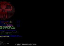 (i) you are not at least 18 years of age or the age of majority in each and every jurisdiction in which you will or may view the sexually explicit material, whichever is higher (the age of majority), (ii) such material offends you, or. Spyboy Blog Learn Ethical Hacking Cyber Security Computer Programming Networking Android Tricks And Windows Tricks