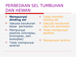 Tidak ada / jarang ditemukan. Ppt Sel Tumbuhan Dan Hewan Tathian Net Academia Edu