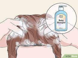 There are a number of methods you can try to treat your symptoms at home. 3 Easy Ways To Treat An Itchy Scalp After Using Hair Dye Wikihow