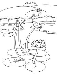 Welcome back the warm weather with these spring coloring sheets. Coloring Pages Lily Flower Pond Coloring Pages For Kids