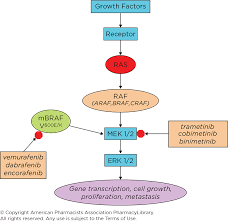 Image result for MEK Inhibitor