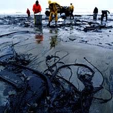 Pollution can damage coral reefs, which are vital to many forms of marine life. Oil Spill Wikipedia