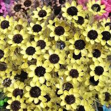 Beli bunga kering hias online berkualitas dengan harga murah terbaru 2021 di tokopedia! Bunga Matahari Bunga Kering Grosir Bunga Kayu Buatan Tangan Buy Dry Flower Wooden Flowers Dry Flowers Product On Alibaba Com